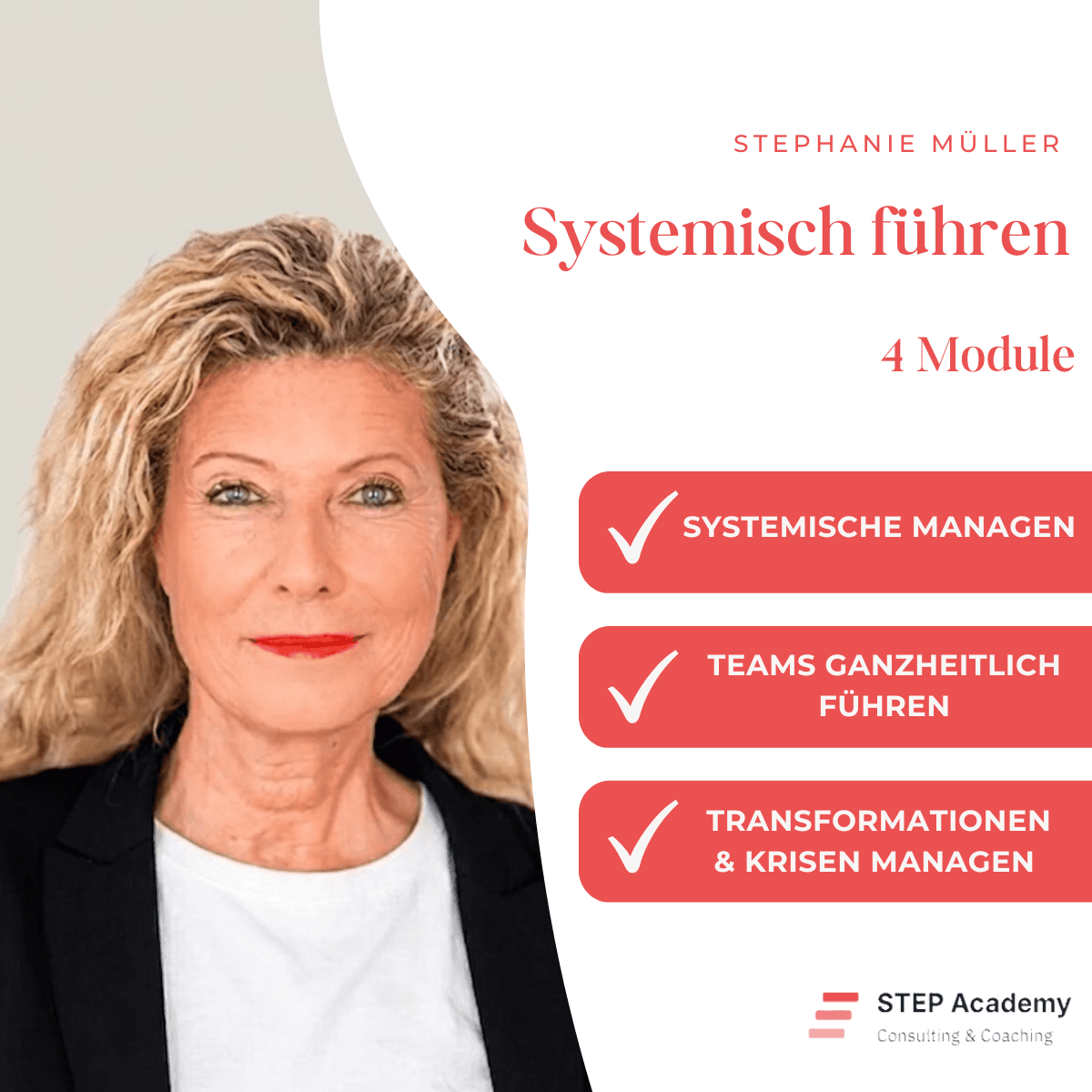 Systemisch führen Training