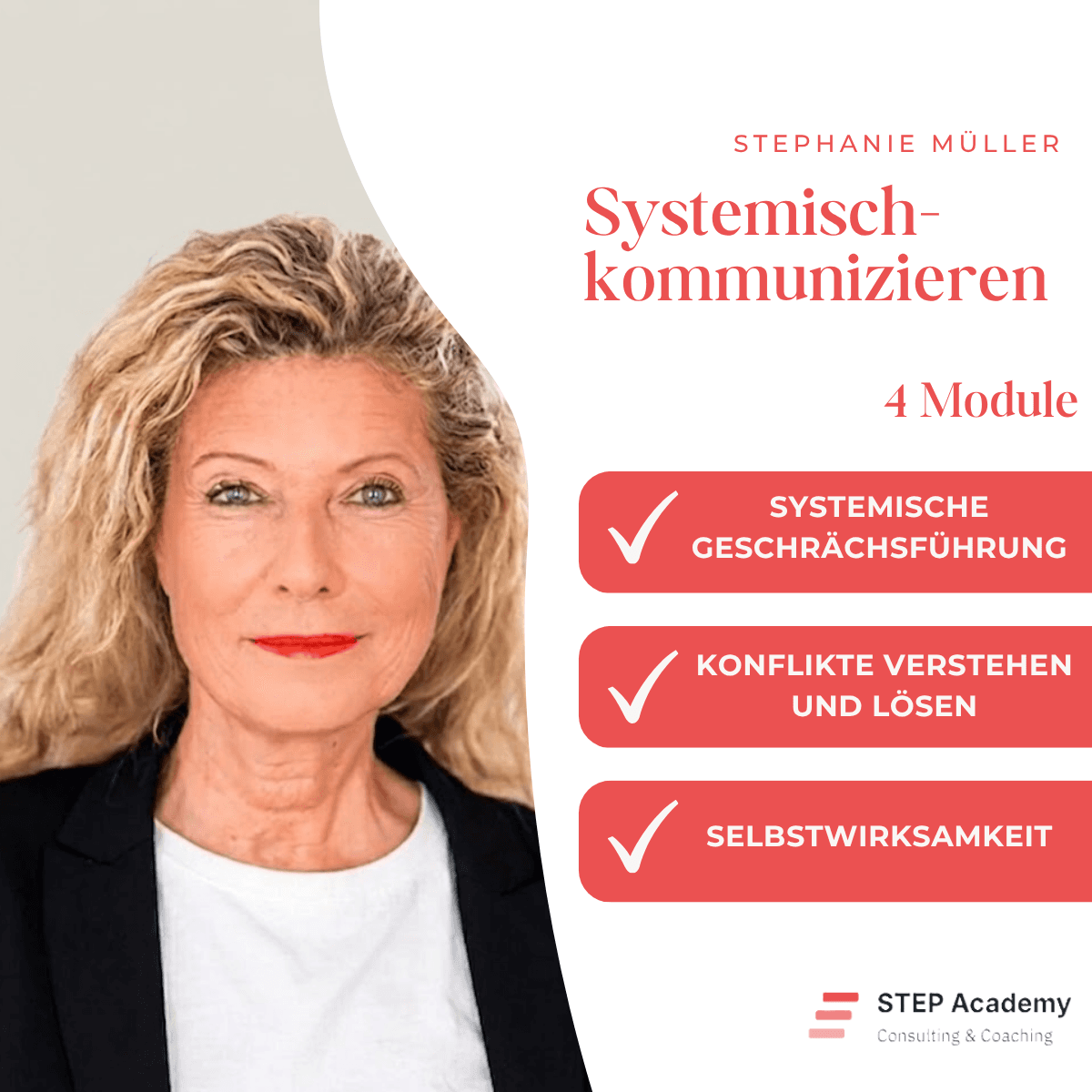 Systemisch kommunizieren Training